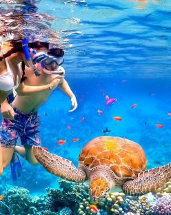 Почивка в Шарм ел Шейх, Египет със самолет от Варна - 7 нощувки